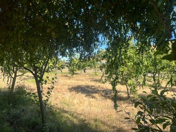 Venta de propiedad de 165m2 en un terreno de 25.000m2, San Javier