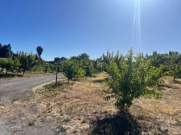 Venta de propiedad de 165m2 en un terreno de 25.000m2, San Javier