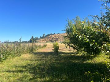 Venta de propiedad de 165m2 en un terreno de 25.000m2, San Javier