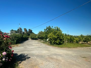 Venta de propiedad de 165m2 en un terreno de 25.000m2, San Javier