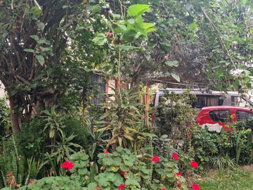 CASA EN VENTA COMO TERRENO ALTURA CDRA 1 AV SURCO  433 m2 URB CERCADO SURCO
