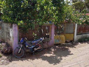 Income Generating Property For Sale in Tungkil Minganilla Cebu
