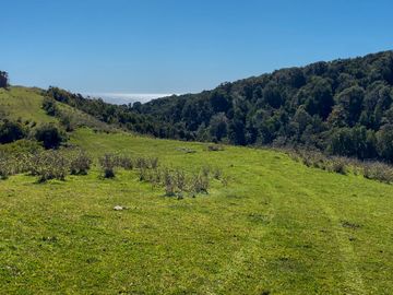 Campo en Estaquilla de 13,06 hectáreas, Entre Pasarelas - Región de los Lagos