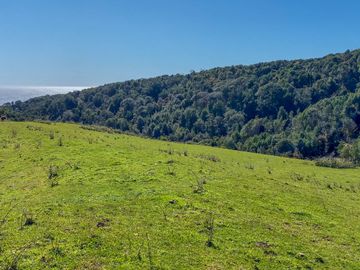 Campo en Estaquilla de 13,06 hectáreas, Entre Pasarelas - Región de los Lagos