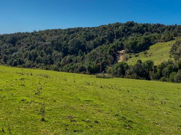 Campo en Estaquilla de 13,06 hectáreas, Entre Pasarelas - Región de los Lagos