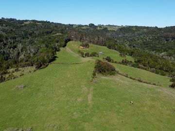 Campo en Estaquilla de 13,06 hectáreas, Entre Pasarelas - Región de los Lagos