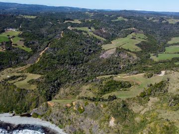 Campo en Estaquilla de 13,06 hectáreas, Entre Pasarelas - Región de los Lagos