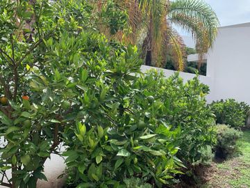 SE VENDE CASA RESIDENCIA EN EL CAMPANARIO QUERÉTARO CON ALBERCA FRENTE A PARQUE CON LAGOS