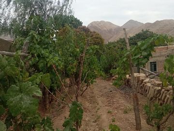 VENTA TERRENO EN LA MEJOR UBICACION DE LUNAHUANA