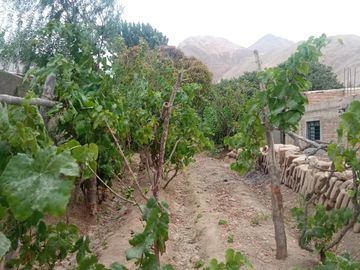 VENTA TERRENO EN LA MEJOR UBICACION DE LUNAHUANA
