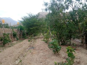 VENTA TERRENO EN LA MEJOR UBICACION DE LUNAHUANA