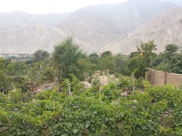 VENTA TERRENO EN LA MEJOR UBICACION DE LUNAHUANA
