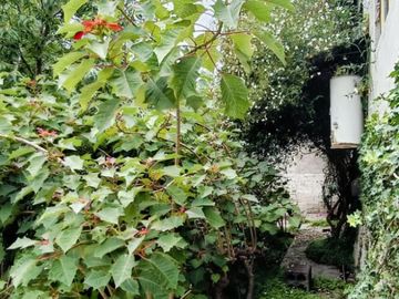 VENTA DE CASA EN MEXICO NUEVO, ATIZAPAN