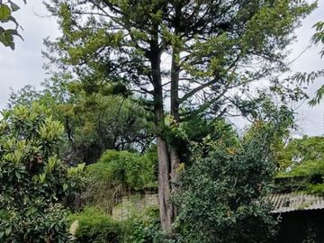 VENTA DE CASA EN MEXICO NUEVO, ATIZAPAN