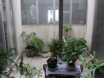 VENDO CASA UNA PLANTA EN FRACC. COSTA DE ORO  BUENA UBICACION