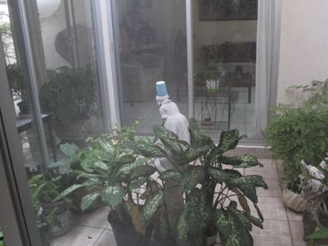 VENDO CASA UNA PLANTA EN FRACC. COSTA DE ORO  BUENA UBICACION