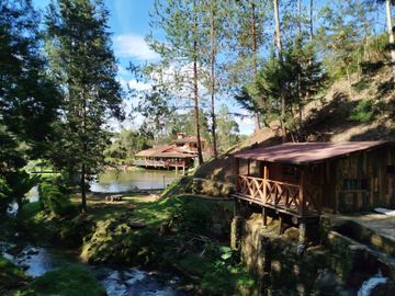 TE VENDO ESTA PRECIOSA FINCA EN GUARNE ANTIOQUIA.