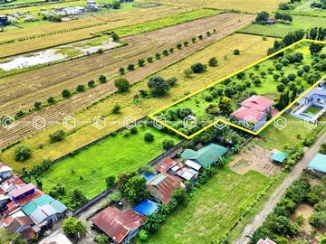 Paradise Awaits: Farm Lot for Sale in Arayat Pampanga