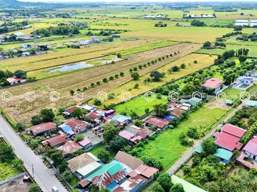 Paradise Awaits: Farm Lot for Sale in Arayat Pampanga