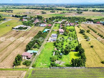 Paradise Awaits: Farm Lot for Sale in Arayat Pampanga