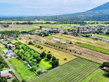 Paradise Awaits: Farm Lot for Sale in Arayat Pampanga