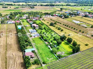 Paradise Awaits: Farm Lot for Sale in Arayat Pampanga