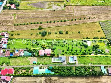 Paradise Awaits: Farm Lot for Sale in Arayat Pampanga