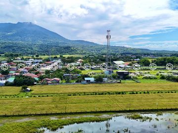 Paradise Awaits: Farm Lot for Sale in Arayat Pampanga