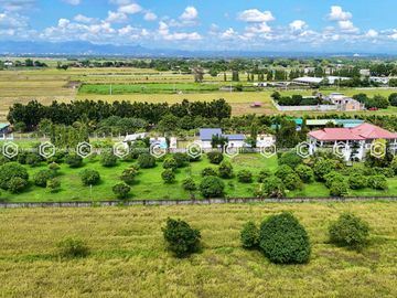 Paradise Awaits: Farm Lot for Sale in Arayat Pampanga
