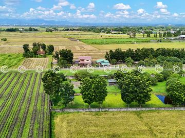 Paradise Awaits: Farm Lot for Sale in Arayat Pampanga