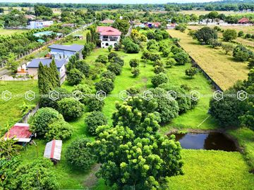 Paradise Awaits: Farm Lot for Sale in Arayat Pampanga