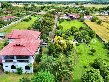 Paradise Awaits: Farm Lot for Sale in Arayat Pampanga