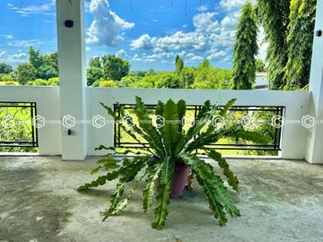 Paradise Awaits: Farm Lot for Sale in Arayat Pampanga