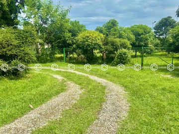Paradise Awaits: Farm Lot for Sale in Arayat Pampanga