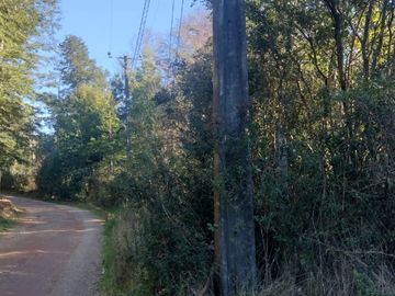 Parcela 5000m2 Valdivia El Rebellín c/Rol propio