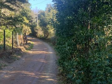 Parcela 5000m2 Valdivia El Rebellín c/Rol propio
