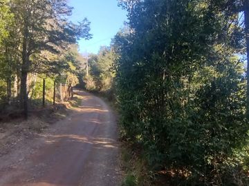 Parcela 5000m2 Valdivia El Rebellín c/Rol propio