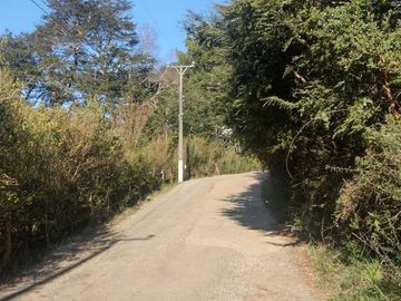 Parcela 5000m2 Valdivia El Rebellín c/Rol propio