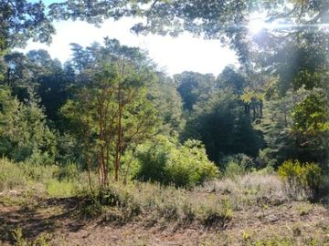 Parcela 5000m2 Valdivia El Rebellín c/Rol propio