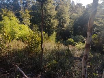Parcela 5000m2 Valdivia El Rebellín c/Rol propio