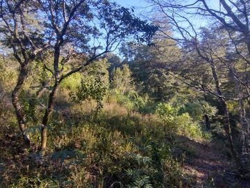 Parcela 5000m2 Valdivia El Rebellín c/Rol propio