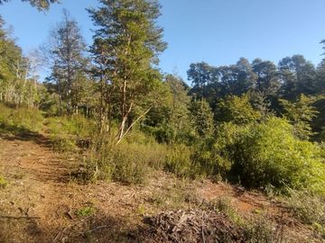 Parcela 5000m2 Valdivia El Rebellín c/Rol propio