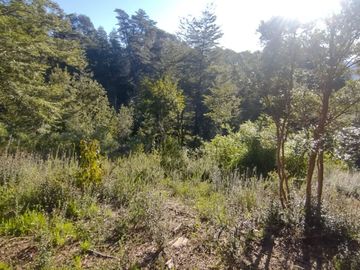 Parcela 5000m2 Valdivia El Rebellín c/Rol propio