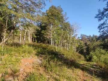 Parcela 5000m2 Valdivia El Rebellín c/Rol propio