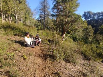 Parcela 5000m2 Valdivia El Rebellín c/Rol propio