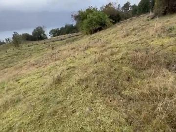 Hermosa Parcela Loteo Quebrada Riñihue