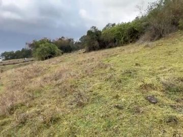 Hermosa Parcela Loteo Quebrada Riñihue
