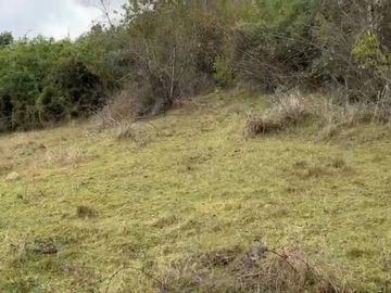 Hermosa Parcela Loteo Quebrada Riñihue
