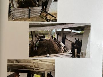 Vendo hermosa finca en Fredonia Antioquia