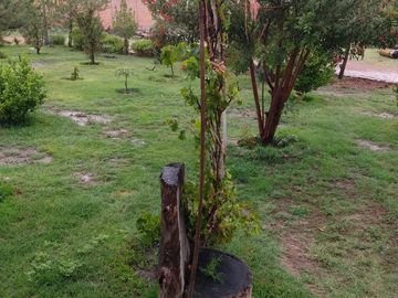 Rancho en Villa de Arriaga 8 ha, cuenta con casa con 2 recamaras con baño, cocina y comedor.